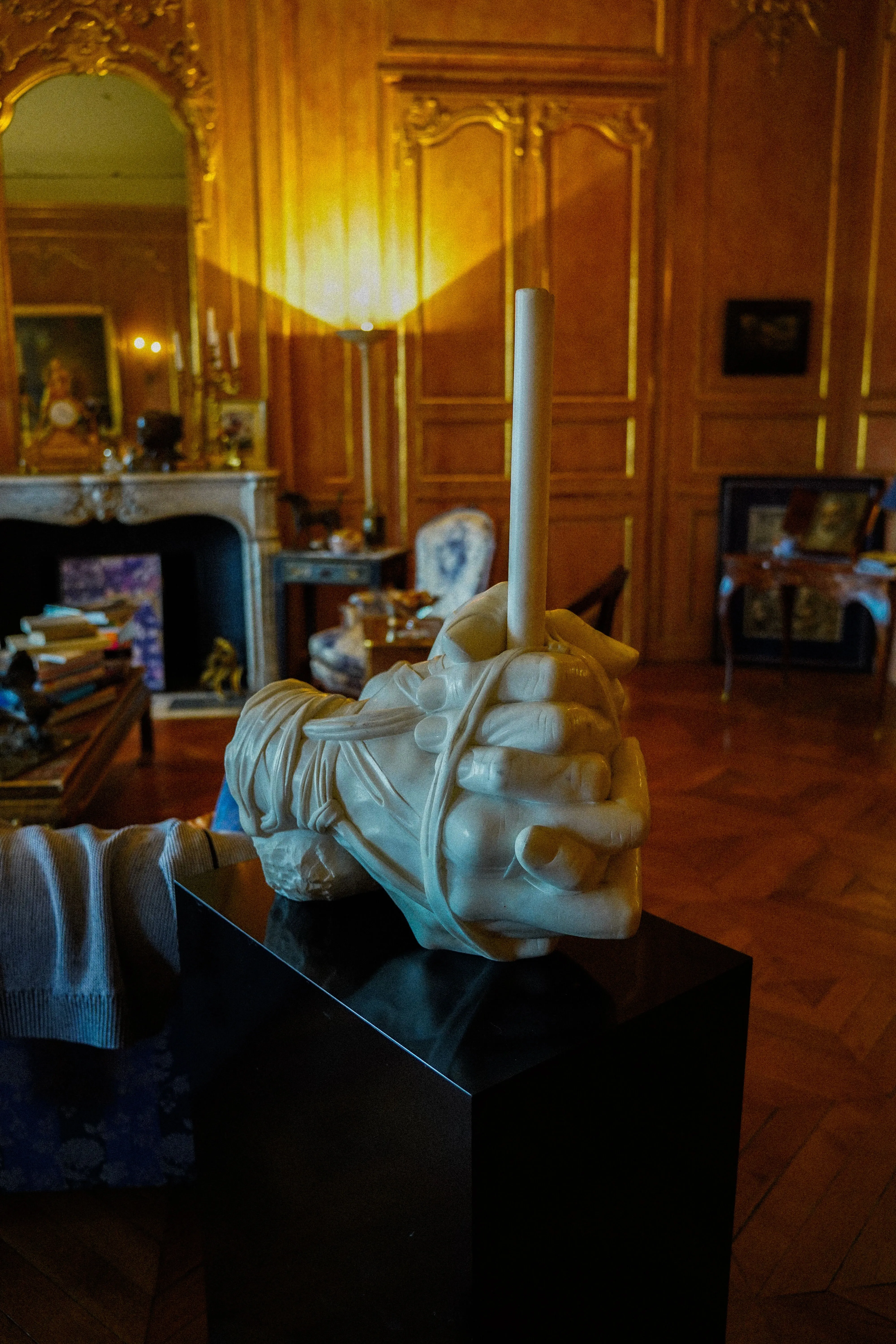 Paris Hôtel Particulier - Interior view